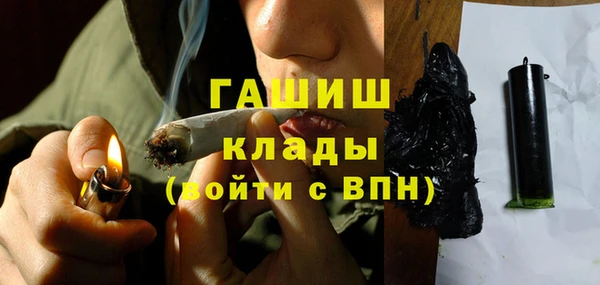 гидра Верхний Тагил