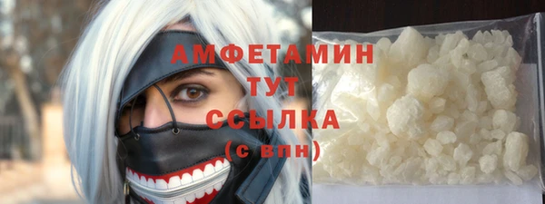 гидра Верхний Тагил