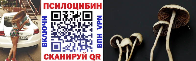 Купить где  Курчатов  Галлюциногенные грибы прущие грибы 